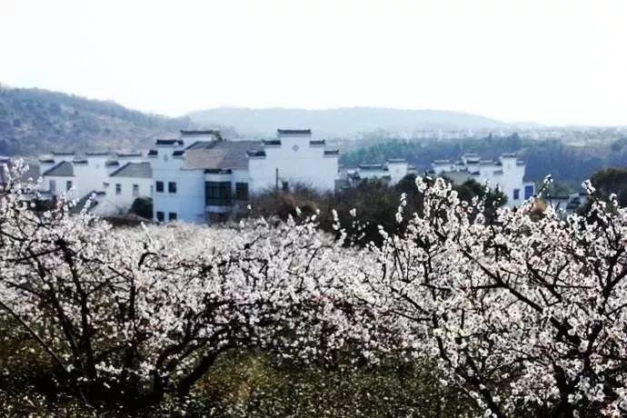 爱旅行的芭比