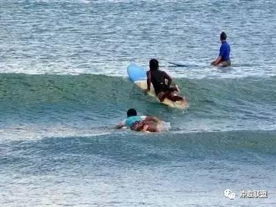 照顾小兔宝宝